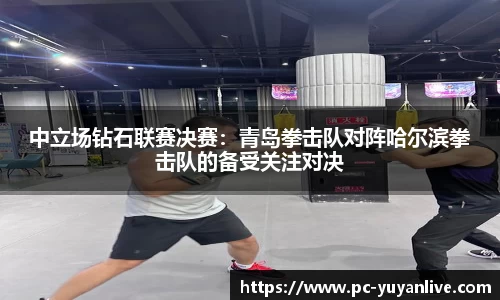 中立场钻石联赛决赛：青岛拳击队对阵哈尔滨拳击队的备受关注对决